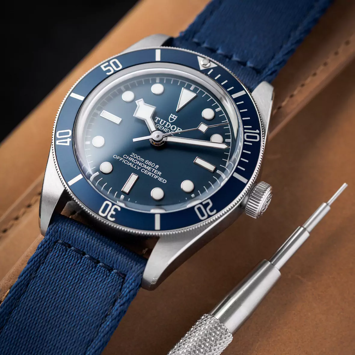 two-piece-nylon-strap-blue-wb-original-tudor-black-bay-66b21d180d16d two-piece-nylon-strap-blue-wb-original-tudor-black-bay