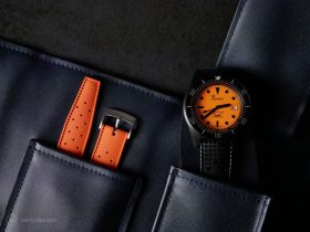 Squale-Luminoso Arancia PVD-Watch roll